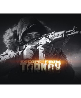 Escape from Tarkov: Standard Edition Digital Download Key GLOBAL